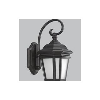 Black and Frosted Glass 12 1/2" High Outdoor Wall Light   #24897