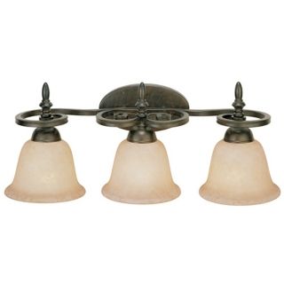 Iron Circle 22 1/2" Wide Bathroom Light Fixture   #59519