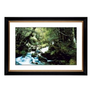 Forest Brook Giclee 41 3/8" Wide Wall Art   #55981 80384