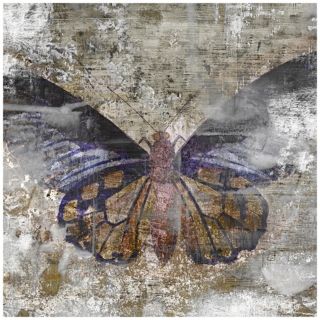 Undergrowth IV 36" Square Butterfly Wall Art   #W9725