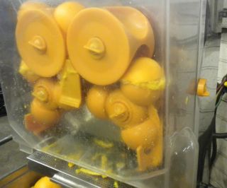 Commercial Whole Orange Juicer Squeezer Citrus Juice Machine