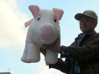 Giant 27 Stuffed Pig Squishy Soft Huge New Jumbo Plush