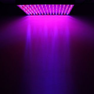 Blue and Red LED Grow Light (110/220V), Gadgets