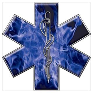 Wall Art  Posters  Star of Life Poster