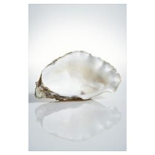 Wall Art  Posters  Oyster shell Poster