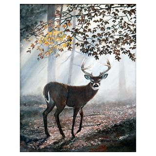 Wall Art  Posters  Misty Morning Poster