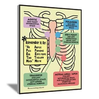 Wall Art  Canvas Art  Remember Cardiac Landmarks