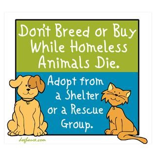 Wall Art  Posters  Adopt Shelter Rescue Poster