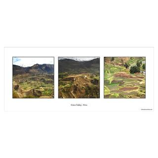 Wall Art  Posters  Colca Valley Peru Poster