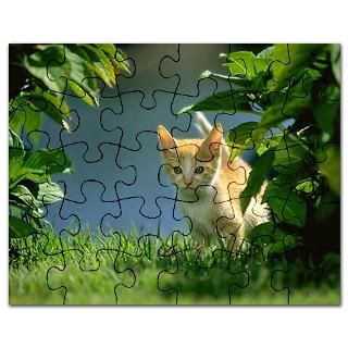 Graduation Jigsaw Puzzle