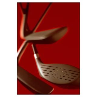 Wall Art  Posters  GOLF CLUBS Poster