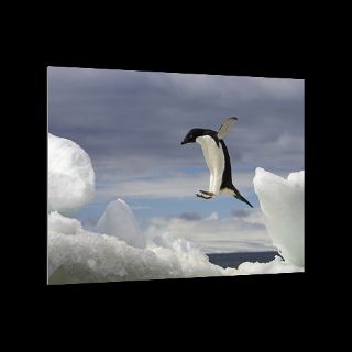 Brown Bluff, Antarctic Peninsula, Antarctica  National Geographic Art