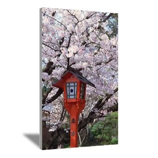 Cherry blossoms in front of a flat iron building Poster