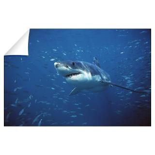 Great White Shark Gifts & Merchandise  Great White Shark Gift Ideas