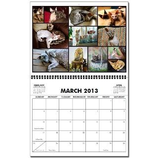 Devon Rex 2013 2013 Wall Calendar by Devonzone