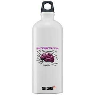 Nursing Student IV 2011 Sigg Water Bottle