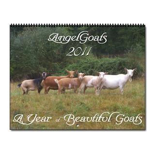 Gifts  2001 Goat Home Office  Beautiful Goats 2010 Wall Calendar