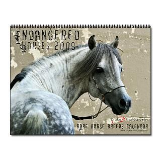 Gifts  Caspian Home Office  2009 Endangered Horses Wall Calendar