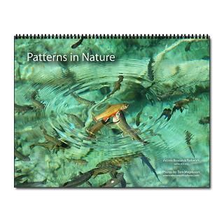  Evolution Home Office  Patterns in Nature 2009 Wall Calendar