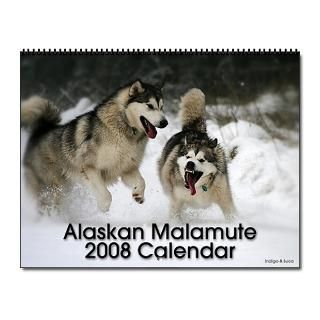 alaskan malamute 2008 wall calendar for 2013