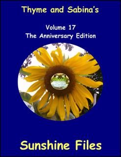 The Sunshine Files Volume 17