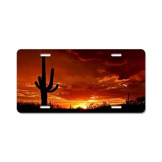 Sunset Saguaro National Park Aluminum License Plat for $19.50