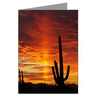 Arizona Greeting Cards  Saguaro Sunset Greeting Cards (Pk of 20