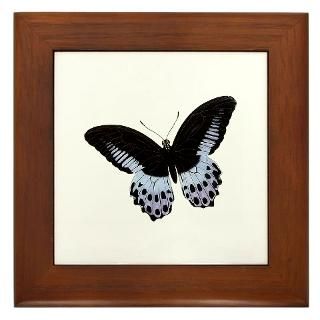 Butterfly 21 Framed Tile for $15.00