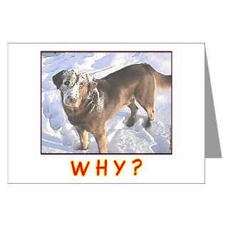 Greeting Cards  Holiday Snow Dog Fight Greeting Cards (Pk of 20