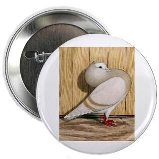 Animal Gifts  Animal Buttons  Khaki Mookee Pigeon 2.25 Button