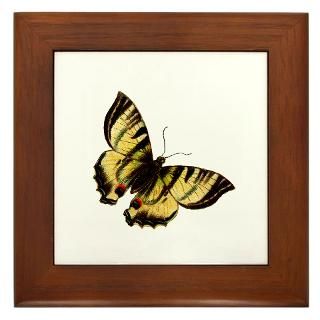Butterfly 26 Framed Tile for $15.00