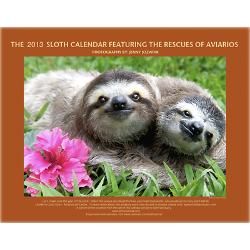 2013 Sloths of Costa Rica Wall Calendar