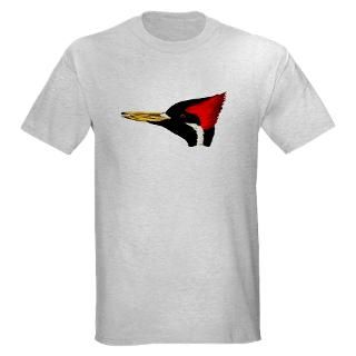 Ivory billed Woodpecker Organic Mens T Shirt (dar