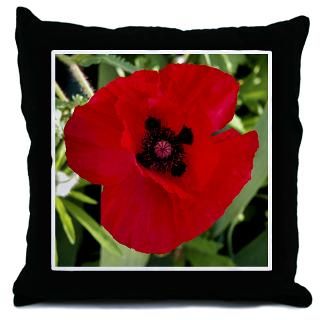 Gifts  Botany More Fun Stuff  Throw Pillow   Red Poppy # 38