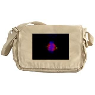 Mitosis fluorescence micrograph   Messenger Bag for $37.50