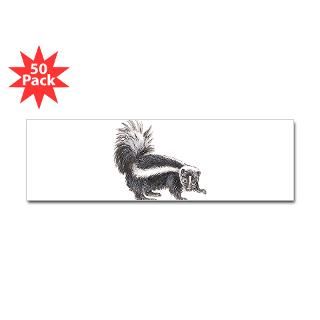 Striped Skunk Sticker (Bumper 50 pk)