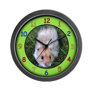 Hamster Clock  Buy Hamster Clocks