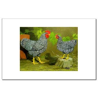 Barred Rock Rooster and Hen  Diane Jacky On Line Catalog