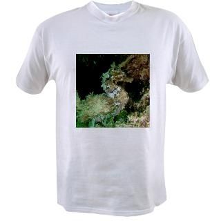 Green Seahorse Photo Jr. Jersey T Shirt