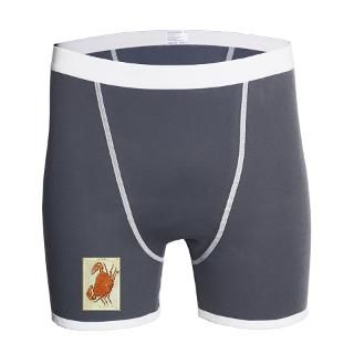 Astrology Gifts  Astrology Underwear & Panties