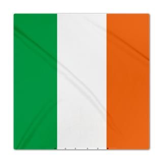 Flag Gifts  Flag Bedding  Ireland Flag Queen Duvet