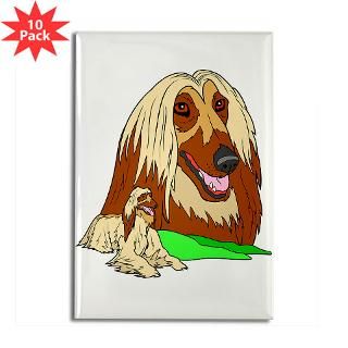 Afghan Hound Rectangle Magnet (10 pack)