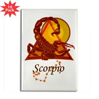 Scorpio Rectangle Magnet (100 pack)