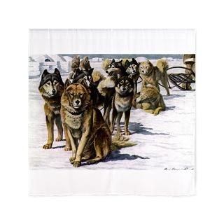 Sled Dogs  Pet Drawings