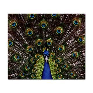 Peacock Gifts  Expressive Mind