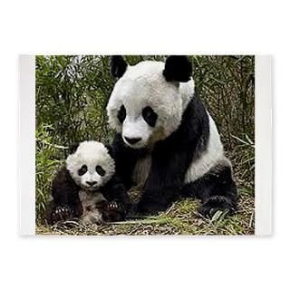 mom and baby panda 5 x7 area rug $ 172 00