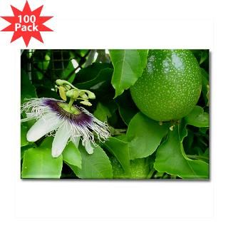passion fruit and flower rectangle magnet 100 pac $ 178 19