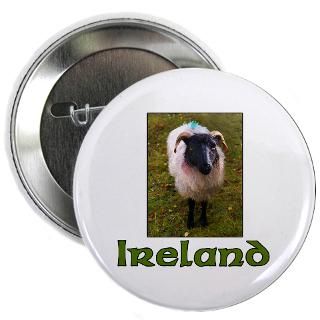 An Irish Sheep  Leprechaun Gifts & All Things Irish