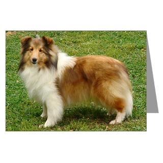 TLC OASIS SHELTIES Greeting Cards (Pk of 10) for