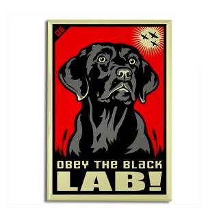 Obey the Black Lab  Obey the pure breed The Dog Revolution